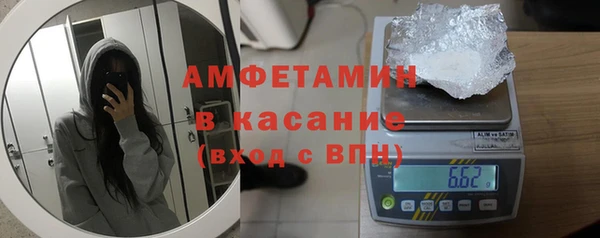мет Алексин