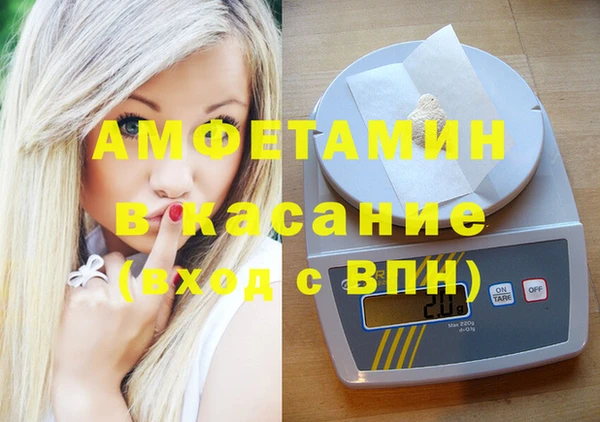 мет Алексин