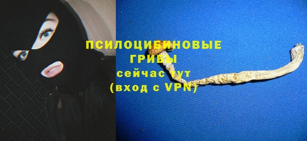 мет Алексин
