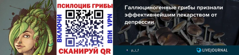 купить   Кондопога  Галлюциногенные грибы мицелий 
